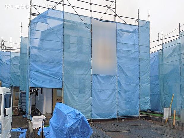 撮影日:2026/02/25