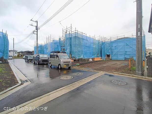 撮影日:2026/02/25