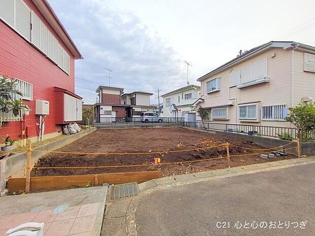 撮影日:2025/11/13