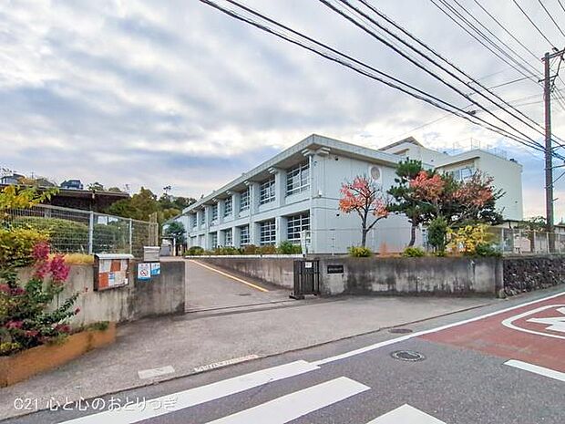 藤沢市立片瀬小学校 1000m