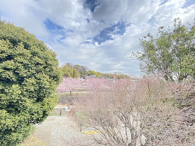 目の前に広がる開放感とゆとり、暮らしの夢を育む理想の住まいがここにはあります。