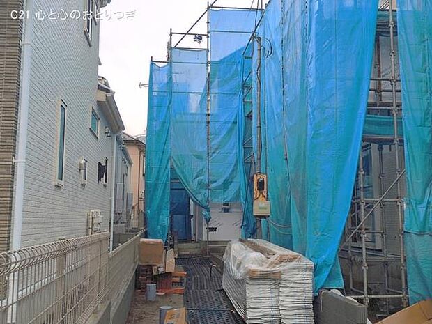 撮影日:2026/03/26