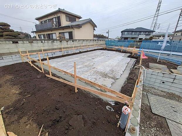 撮影日:2026/02/17