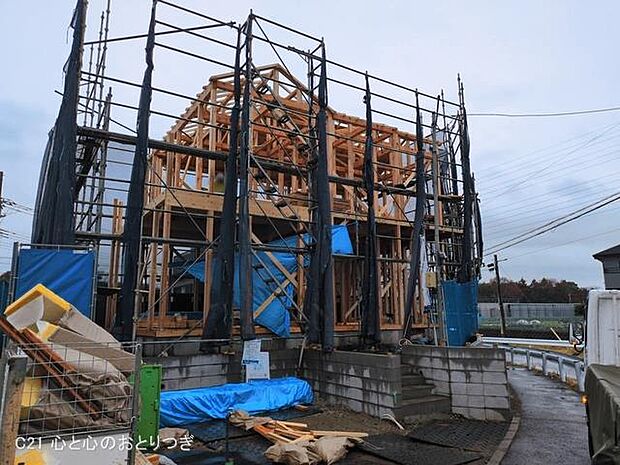 撮影日:2026/03/03