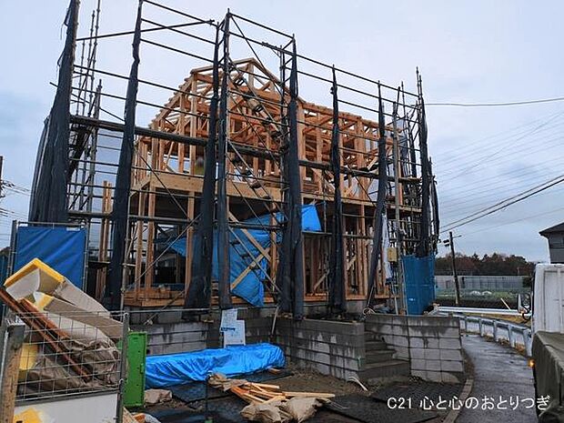 撮影日:2026/03/03