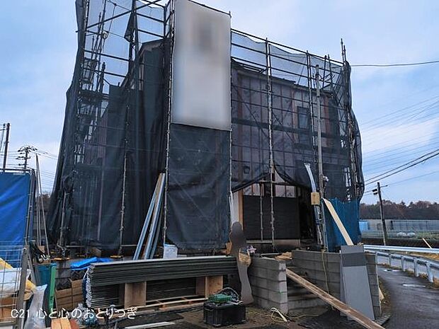 撮影日:2026/03/19