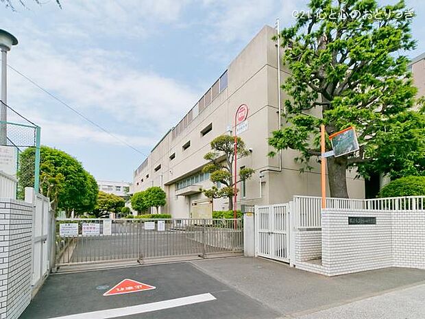 横浜市立中和田中学校　500ｍ　撮影日:2022/04/28