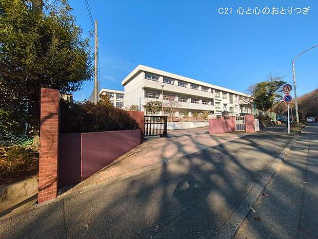 藤沢市立大庭中学校　1220ｍ　撮影日:2025/03/10