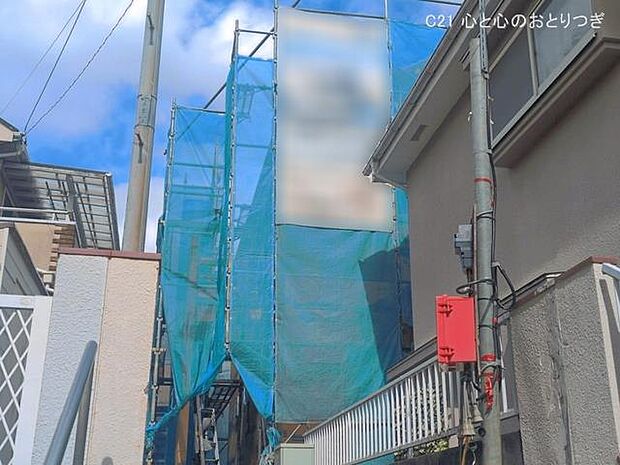 撮影日:2026/06/10