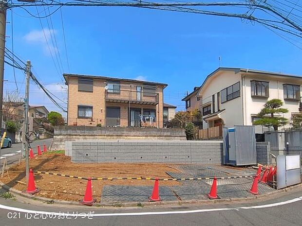 撮影日:2026/03/30