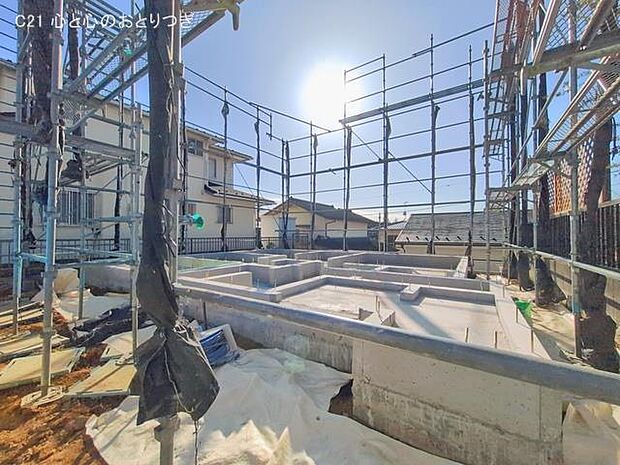 撮影日:2026/02/19