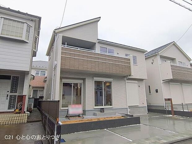 撮影日:2026/02/25