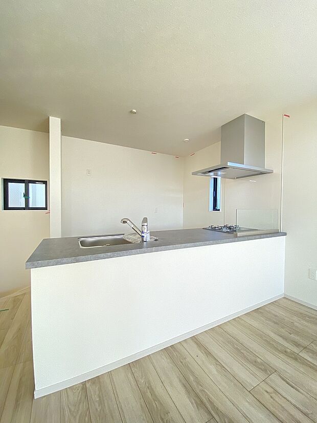 広々としたシンクで、食事の後片付けもはかどります