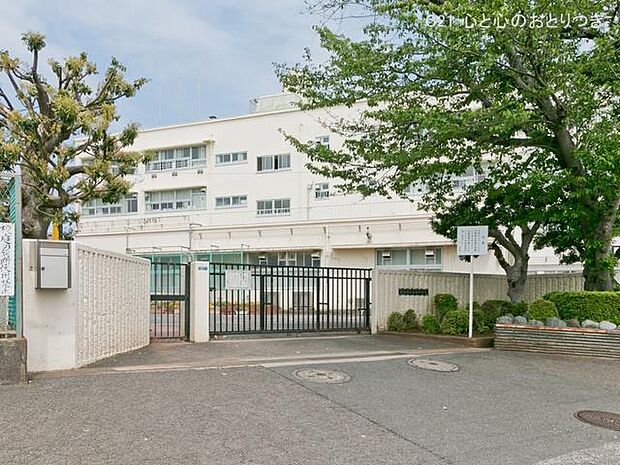 横浜市立中田中学校　1200ｍ