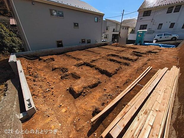 撮影日:2026/03/09