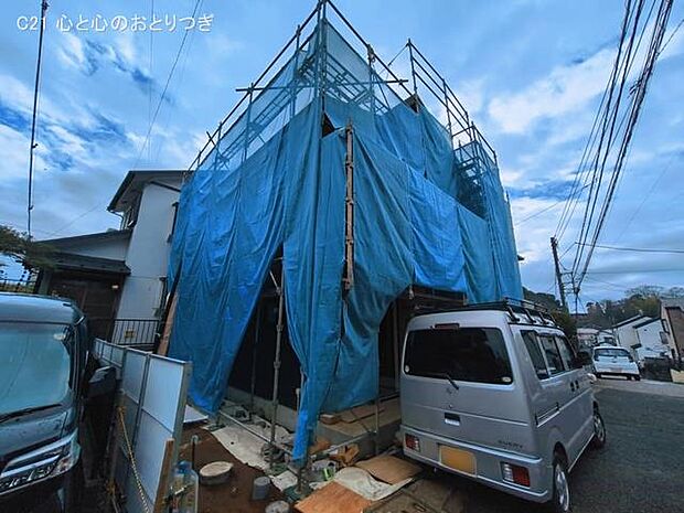 撮影日:2026/03/19