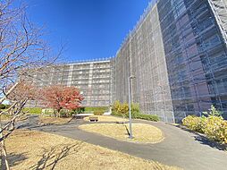 市ドリームハイツ1号棟