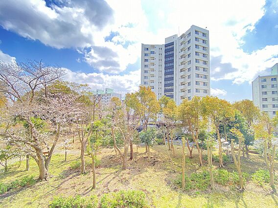 静けさと安心感...