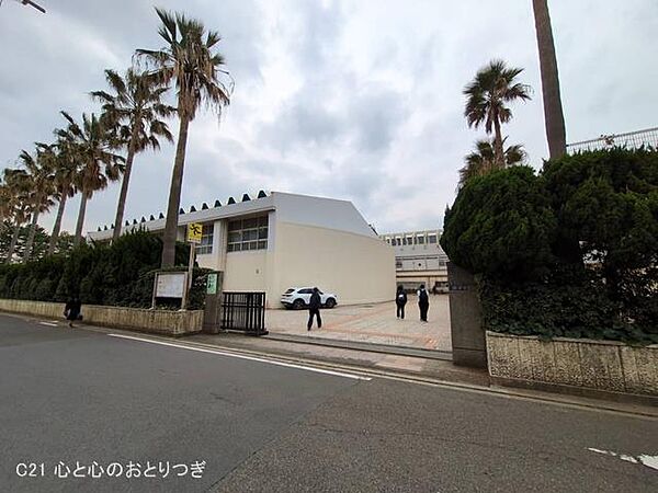 藤沢市立湘洋中学校　600ｍ　撮影日:2025/03/24