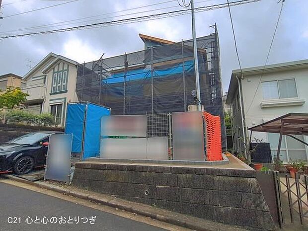 撮影日:2026/06/08