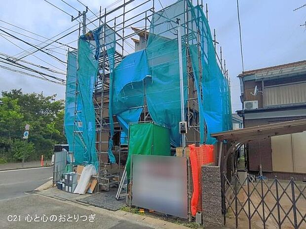 撮影日:2026/06/02