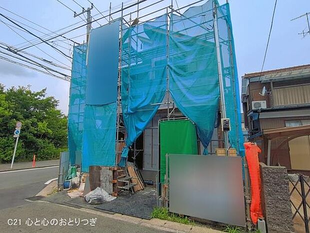 撮影日:2026/06/24
