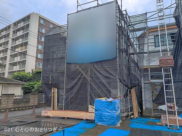 撮影日:2026/07/13