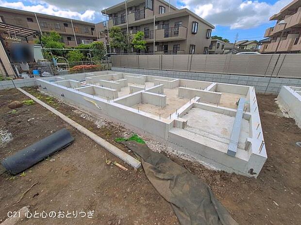 撮影日:2026/05/12
