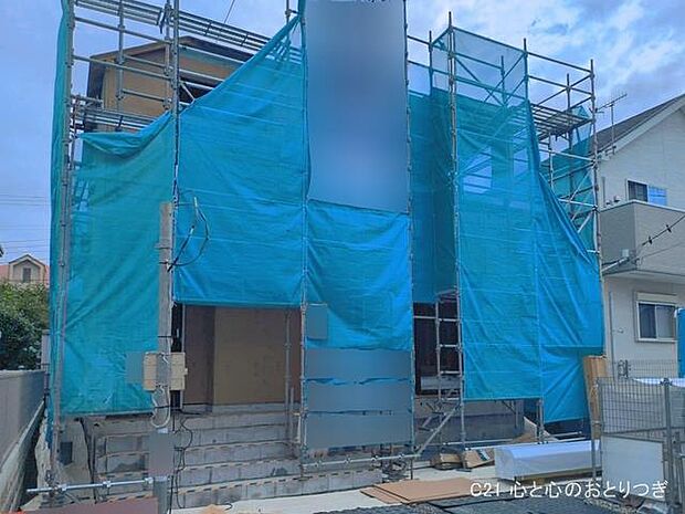 撮影日:2026/06/04
