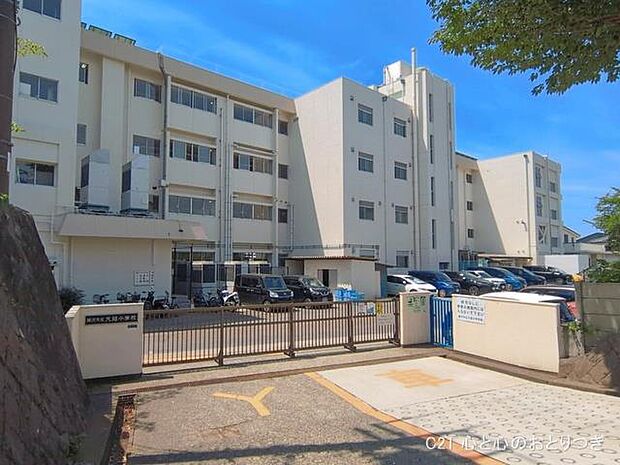 藤沢市立大越小学校 210m 撮影日:2026/06/01