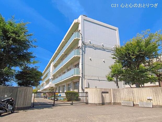 藤沢市立大清水小学校 700m