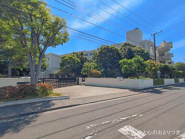 藤沢市立大清水中学校 650m