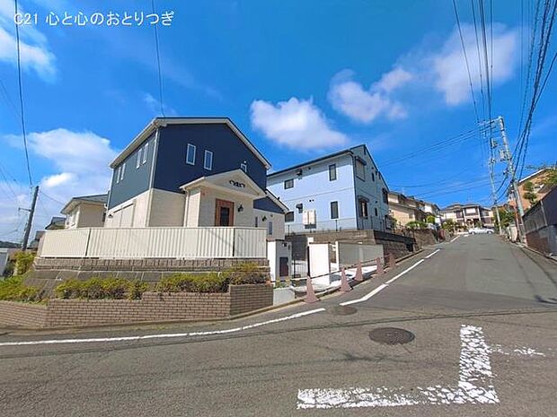 撮影日:2026/06/19