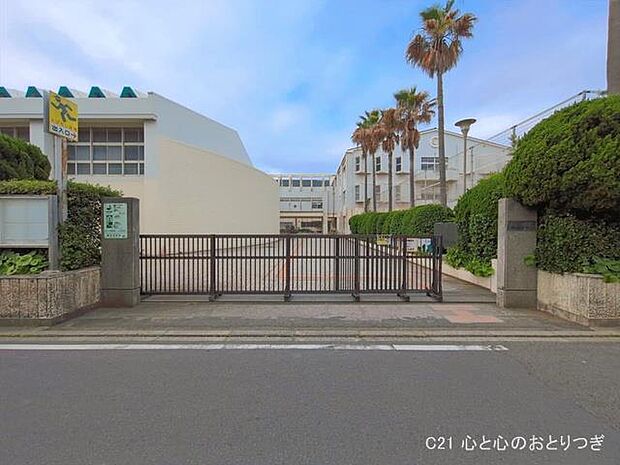 藤沢市立湘洋中学校　1890ｍ　撮影日:2026/05/28