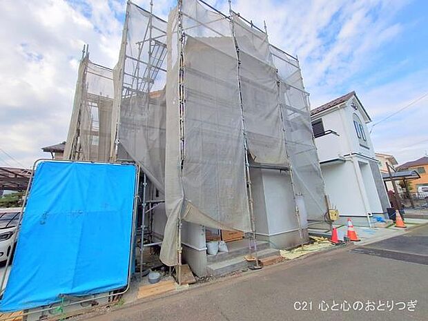 撮影日:2025/04/07