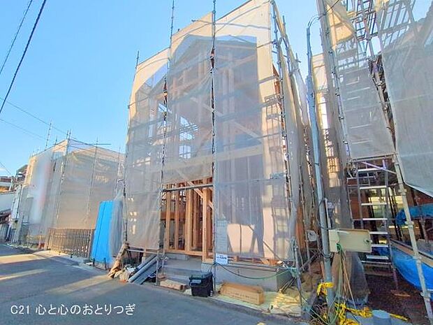 撮影日:2025/01/31