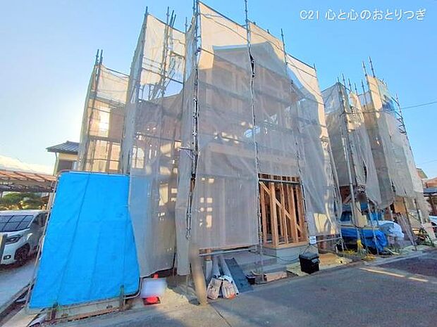 撮影日:2025/01/31