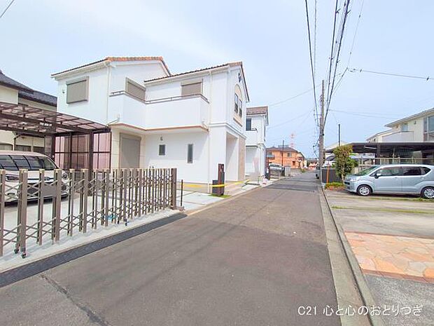 撮影日:2025/05/16