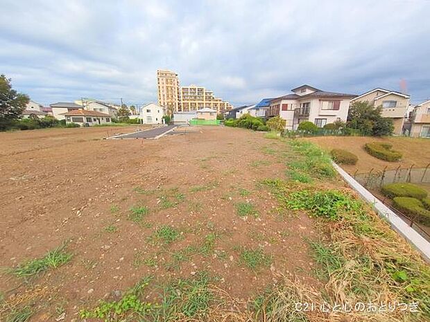 撮影日:2025/08/28