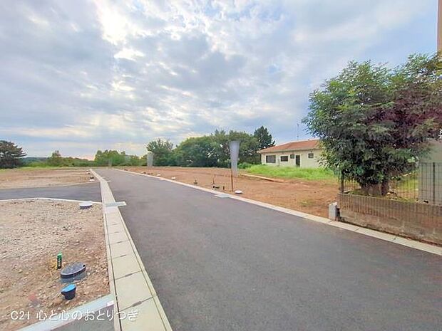 撮影日:2025/08/28