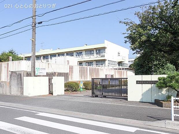相模原市立若草小学校 560m