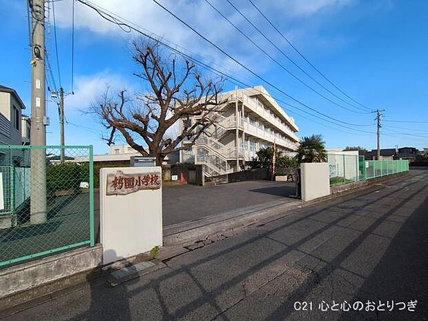 相模原市立鶴園小学校 388m