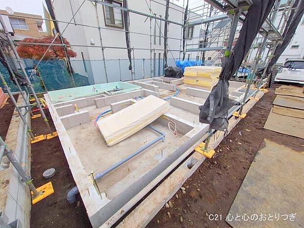 撮影日:2025/11/13