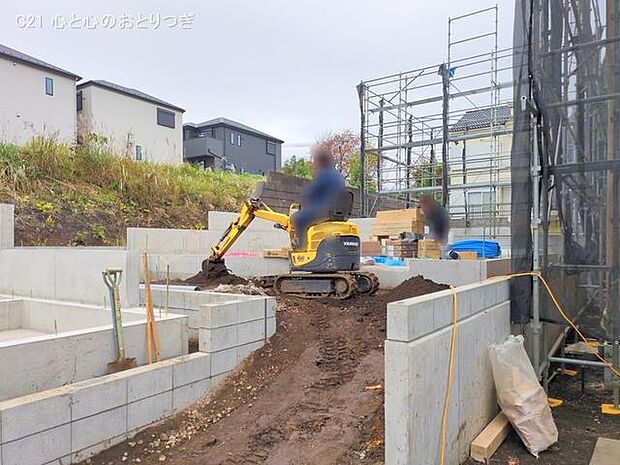 撮影日:2025/11/13