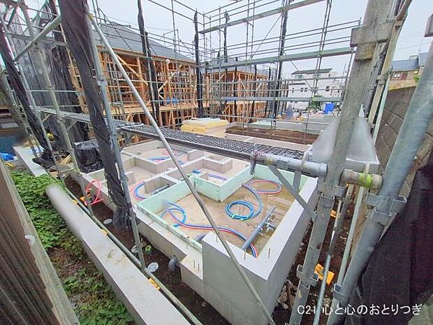 撮影日:2025/11/13