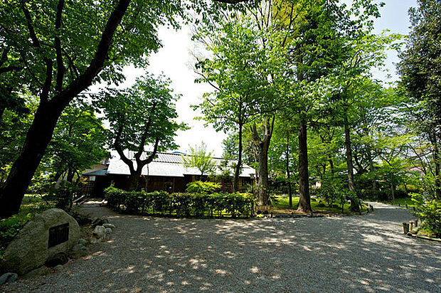 多胡記念公園 971m