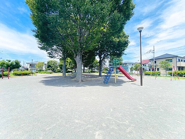 下瀬谷第二公園　555ｍ