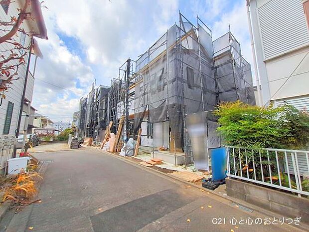 撮影日:2025/11/18