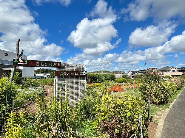 陽だまり公園 634m