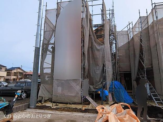 撮影日:2026/03/13